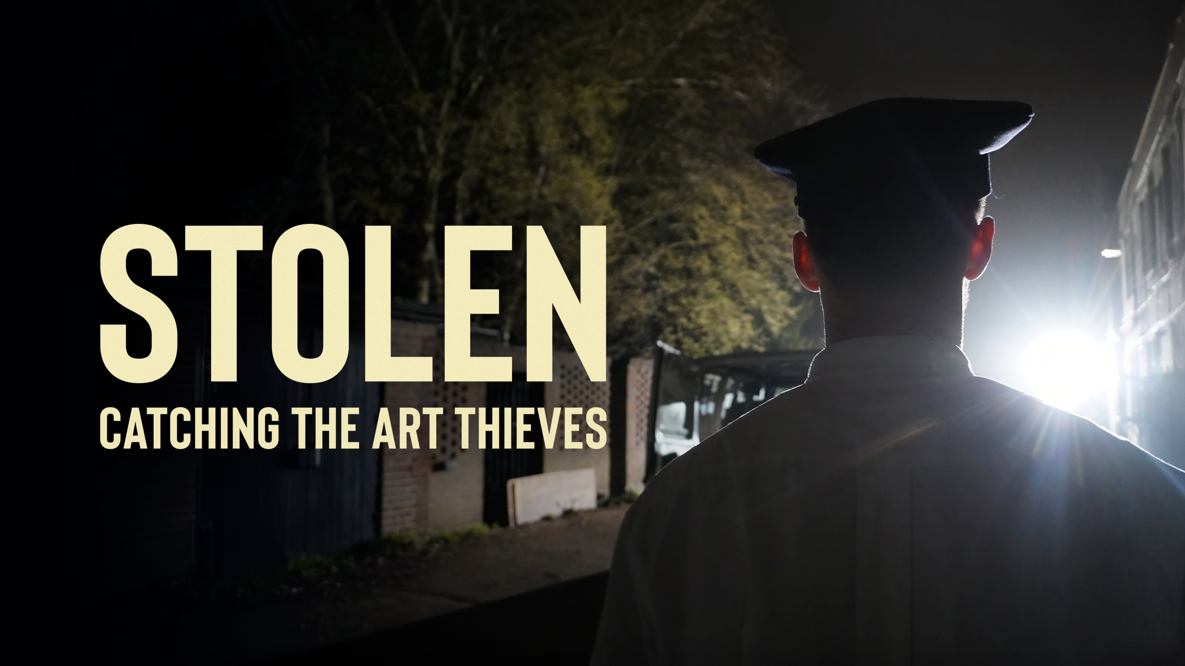 Stolen: Catching the Art Thieves