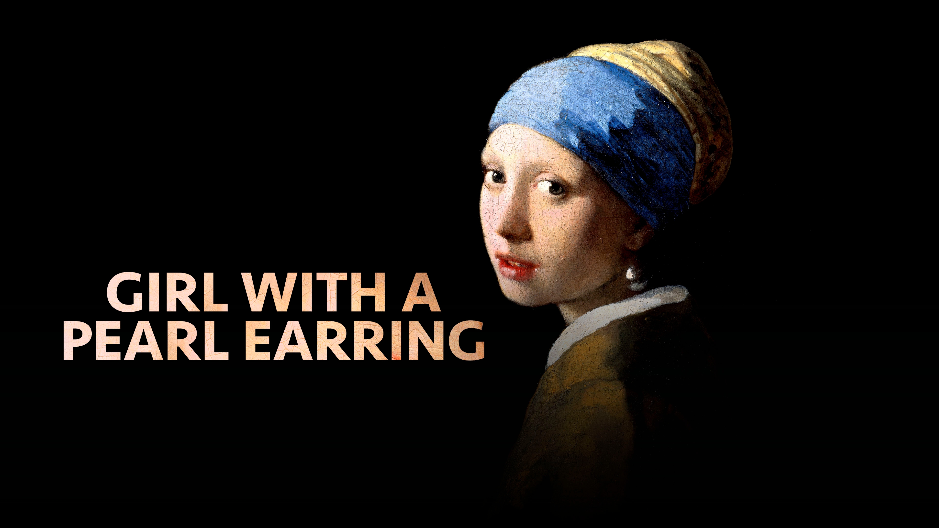 Girl with a Pearl Earring and Other Treasures from the Mauritshuis