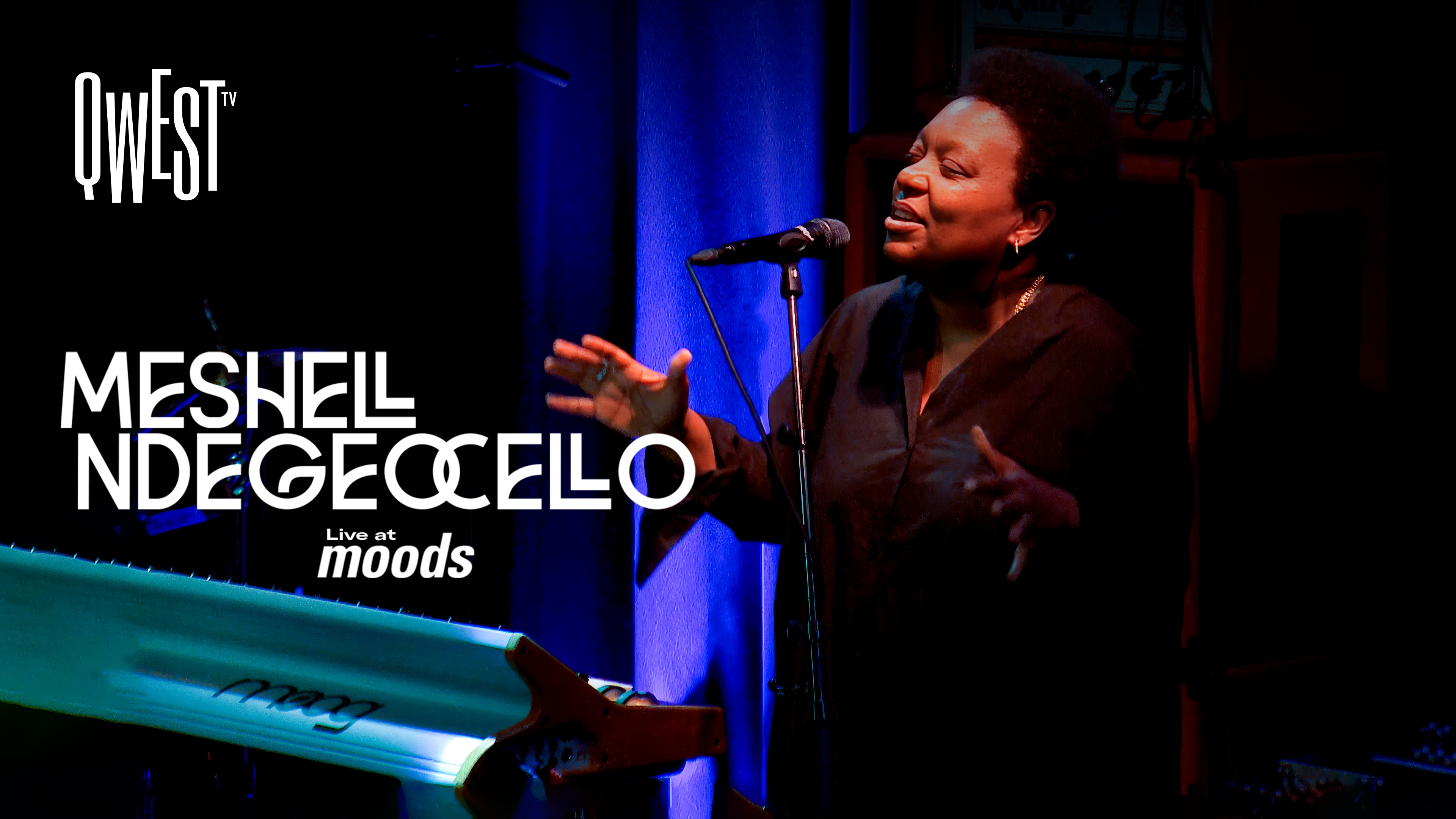 Meshell Ndegeocello Live at Moods
