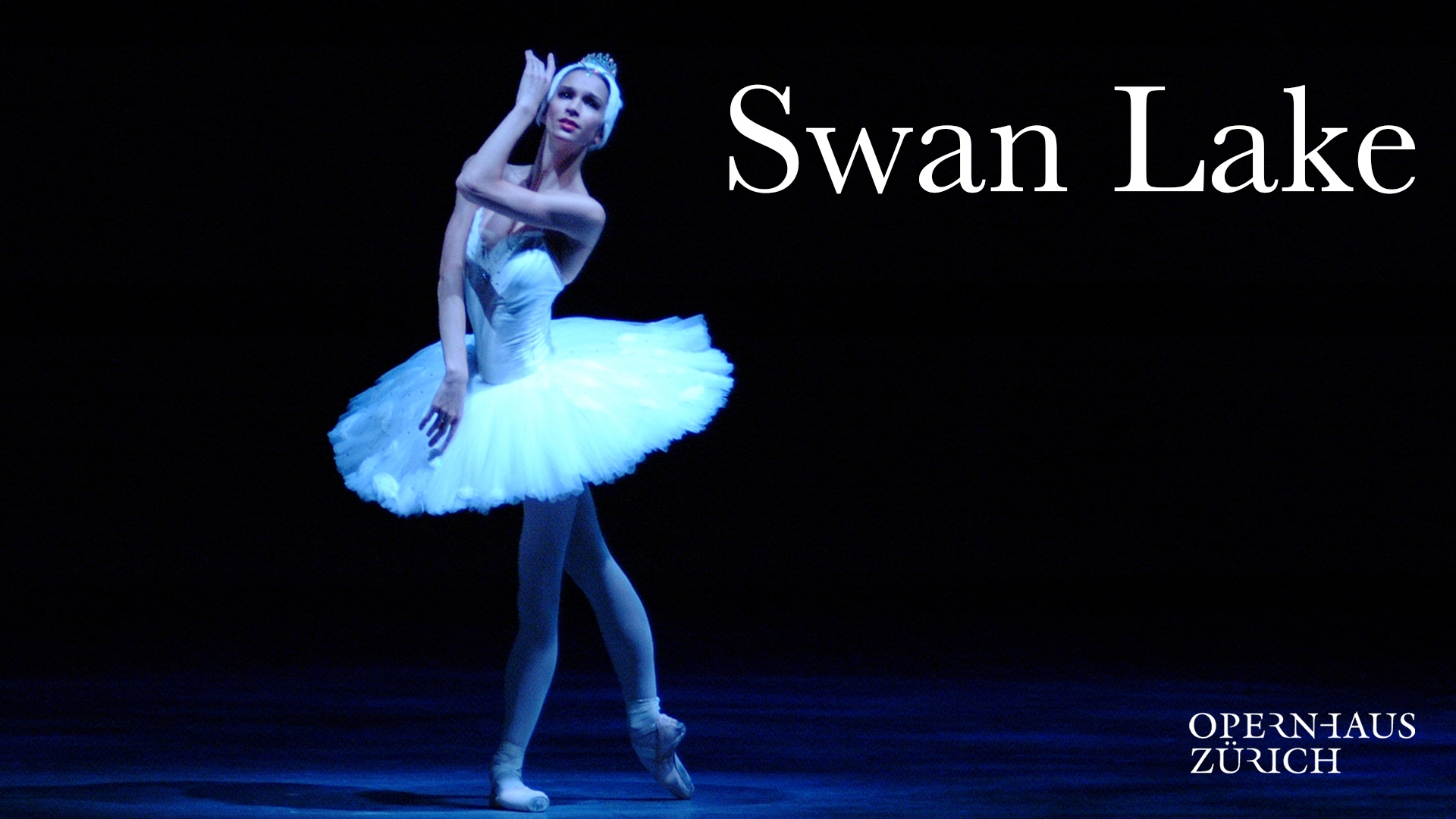 261_tchaikovsky-swan-