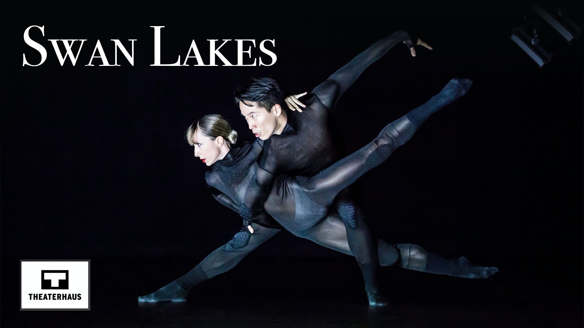 Swan Lakes
