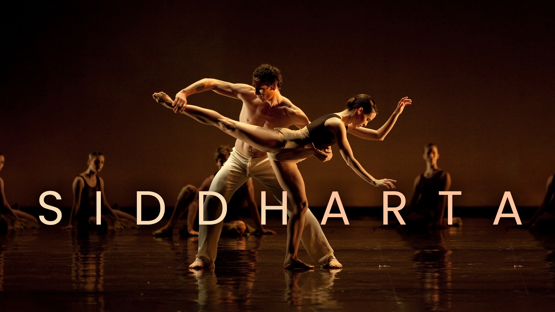 Siddharta