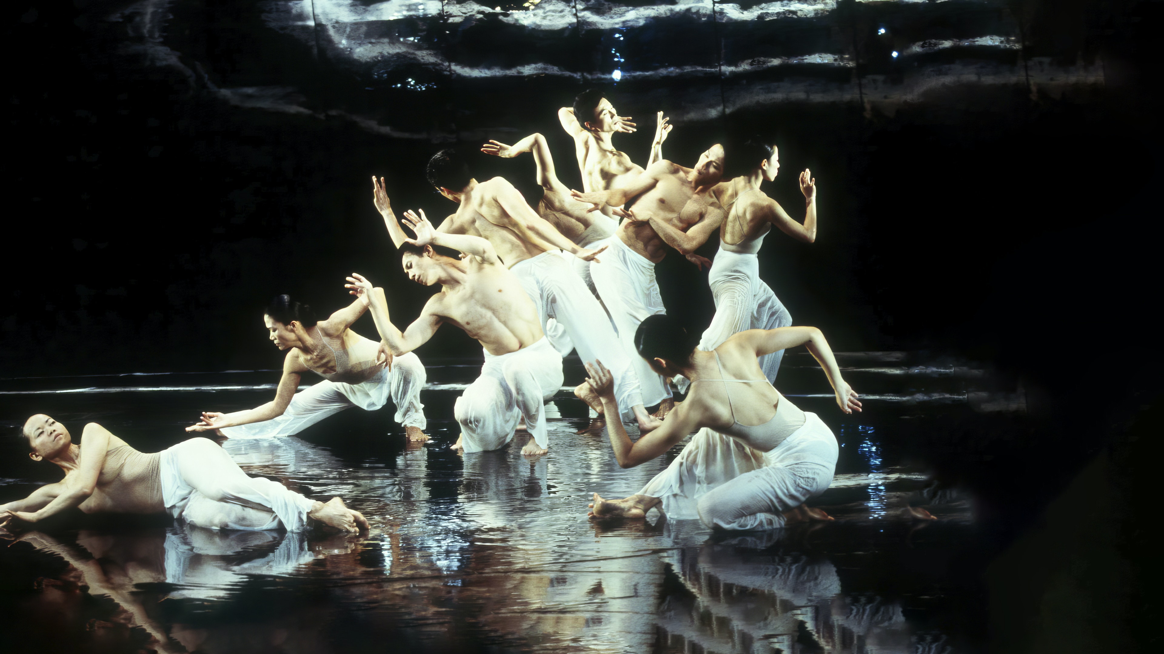 Bamboo Dream | Marquee TV