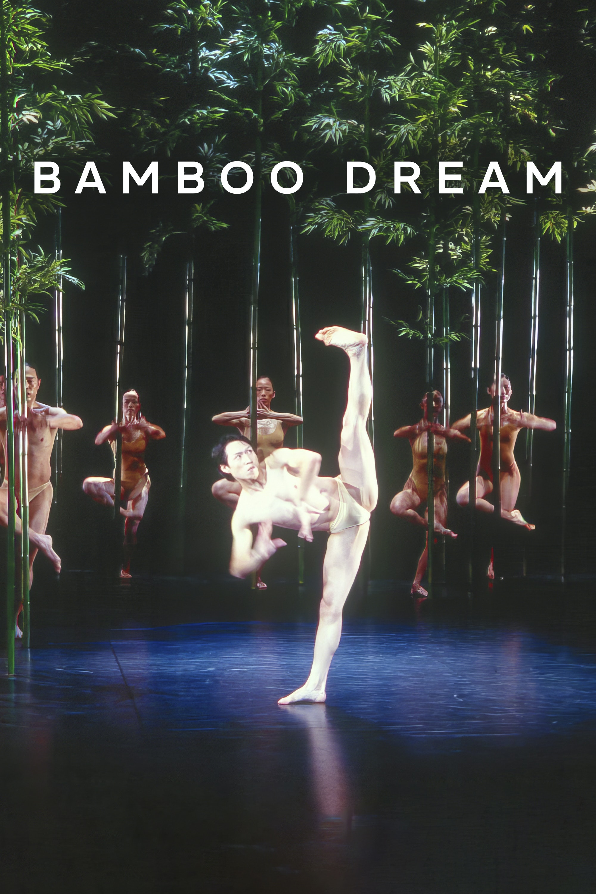 Bamboo Dream | Marquee TV