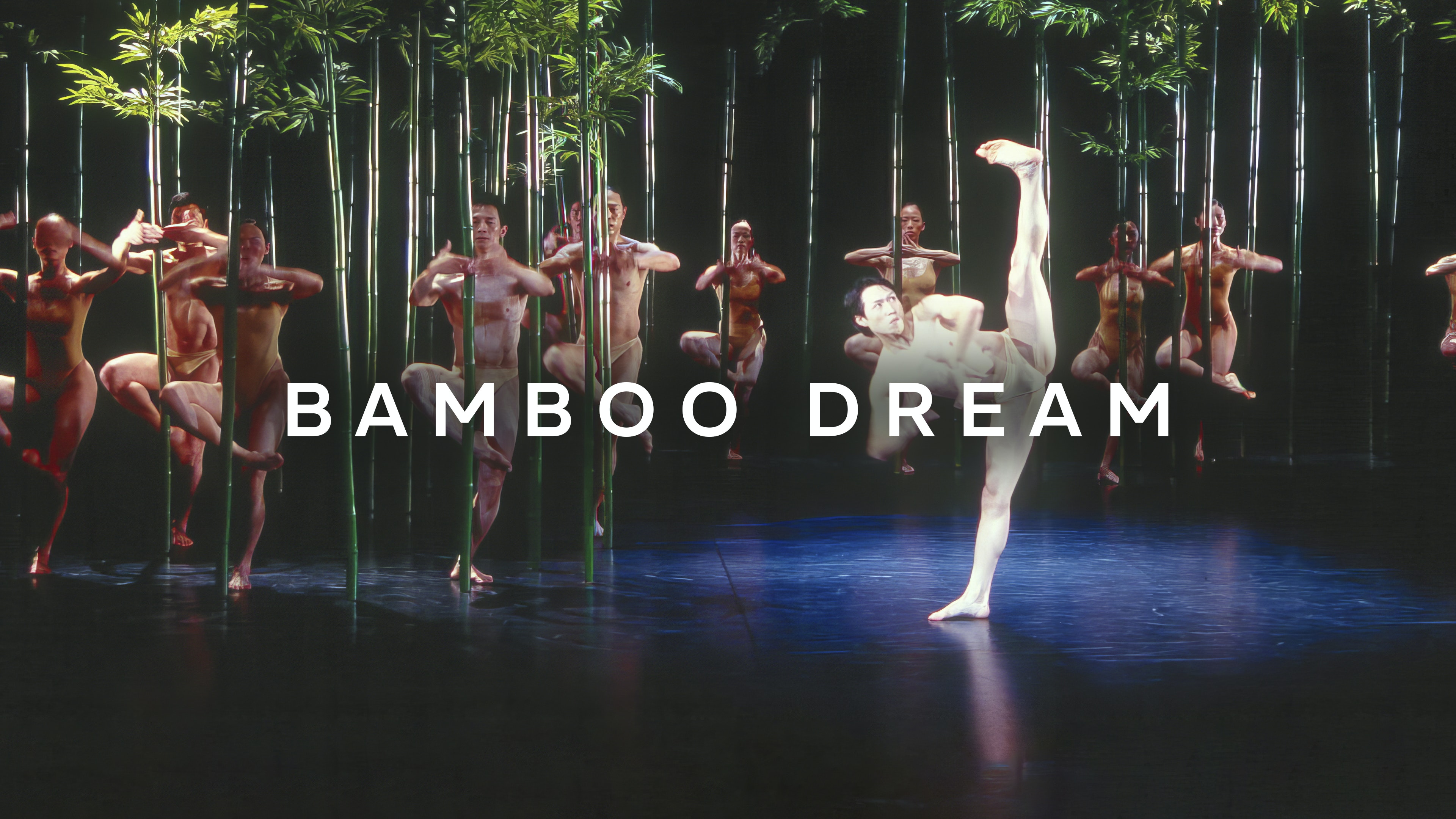 Bamboo Dream | Marquee TV