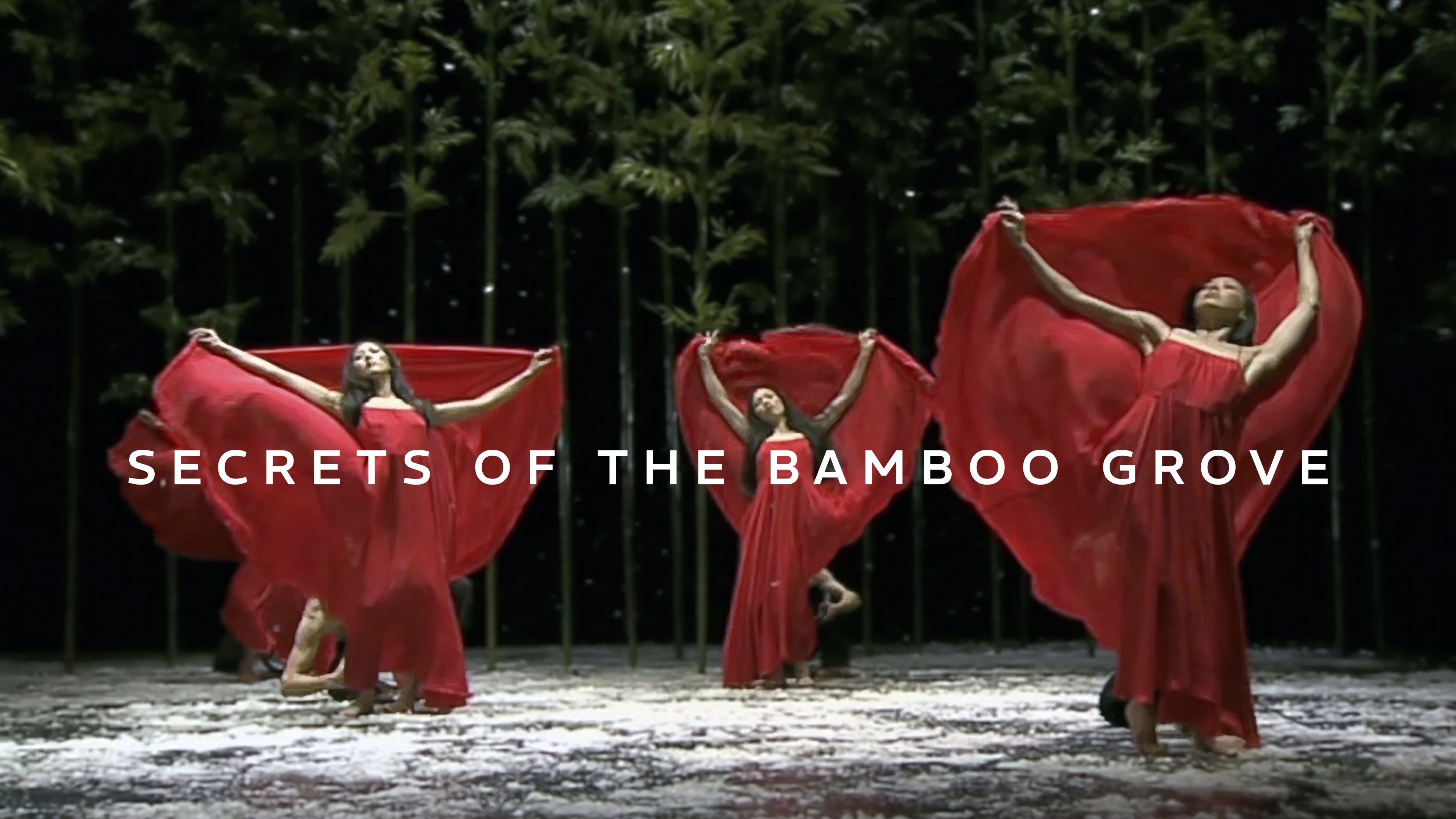 Bamboo Dream | Marquee TV