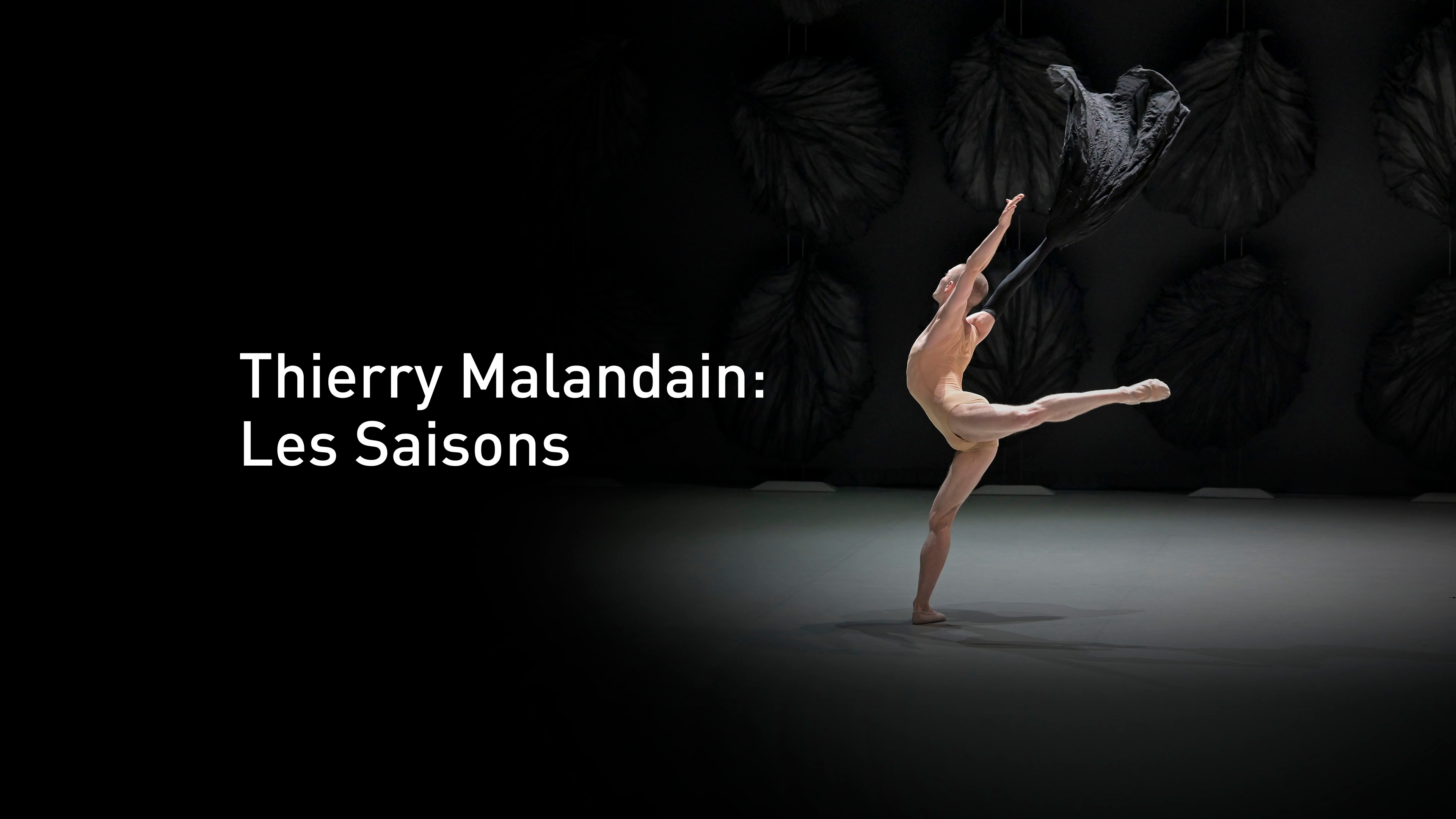 Thierry Malandain: Les Saisons